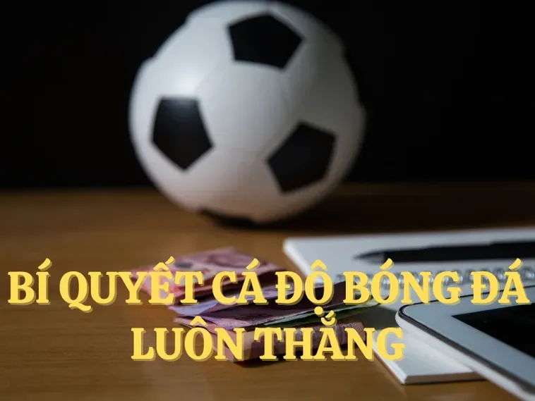 Chinh Phục Đỉnh Cao Cá Cược Bóng Đá 28Win Thắng Lớn Mỗi Ngày