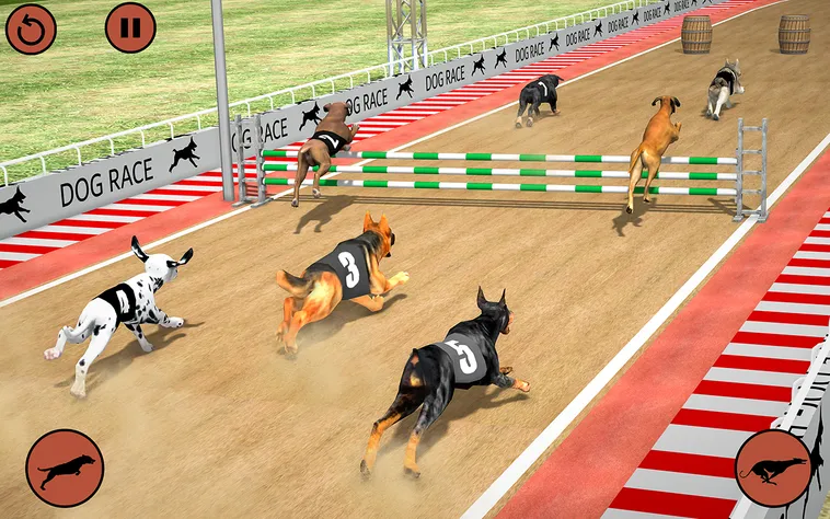 Kinh Nghiệm Chơi Game Nhanh Đua Chó Tại 28Win Đánh Bại Mọi Đối Thủ