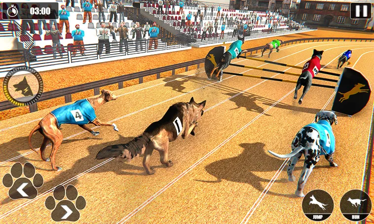 Kinh Nghiệm Chơi Game Nhanh Đua Chó Tại 28Win Đánh Bại Mọi Đối Thủ